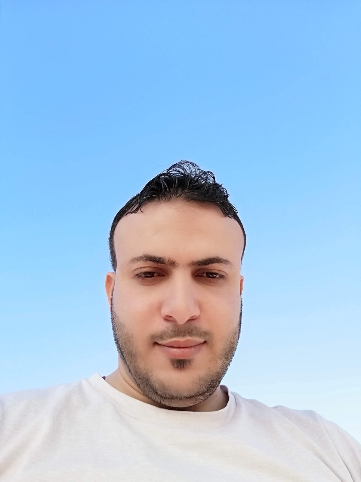 Ala'a Mestarehi